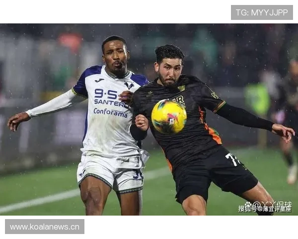 维罗纳降意乙全队痛定思变启程